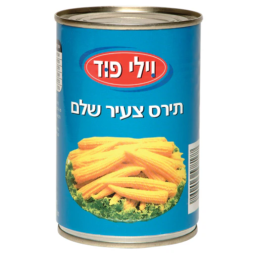 תמונה ממוזערת 1
